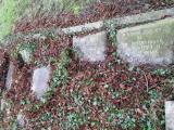 image of grave number 282097